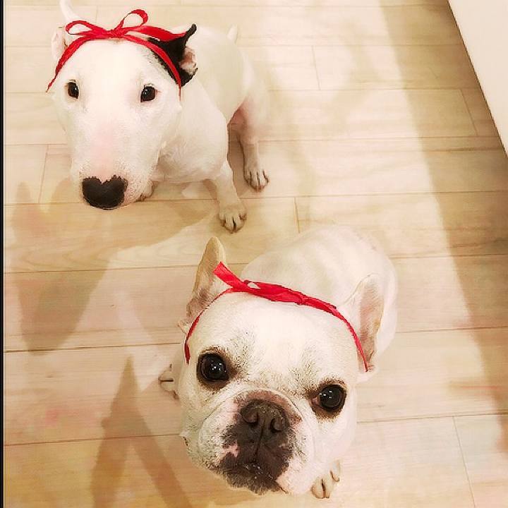 3443c338 b150 4751 ad79 2331f5f92719 1518359879669