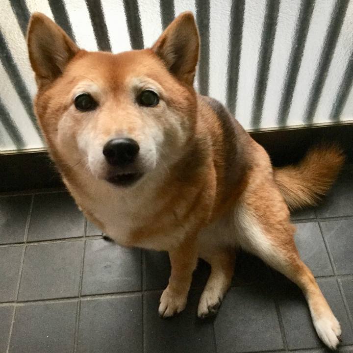 3443e609 9664 4625 b164 ec41c1501031 1580804960097