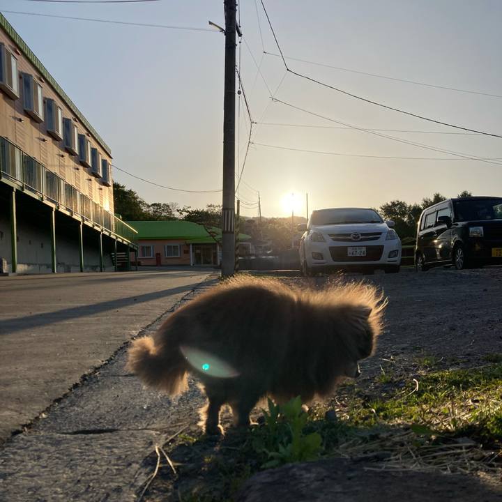 3443f49a 9c08 4083 bbb5 bce957dd7884 1715717808789