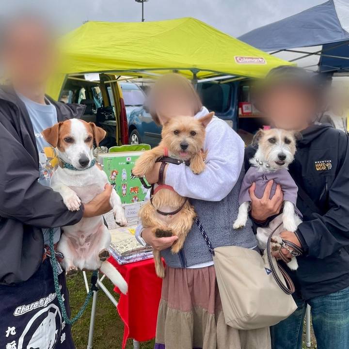 344439a1 a200 4868 8487 4b902ecf2cd7 1730041970633