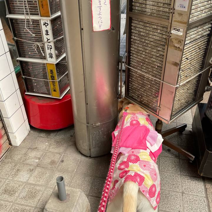 344440bf 08b3 4843 a0fc e20bf50e0e23 1628758604780