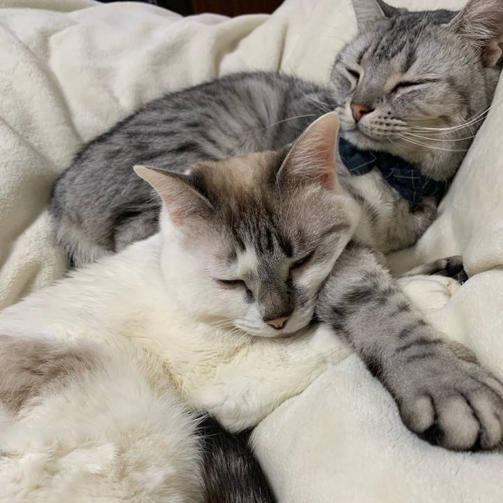 344441a2 9a79 4e3c 9df7 20746295f5d3 1610330724629