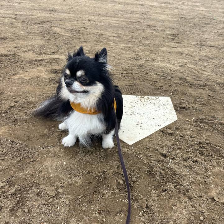 34444644 95ff 4f9f b36e 368a06f705ae 1760846383807