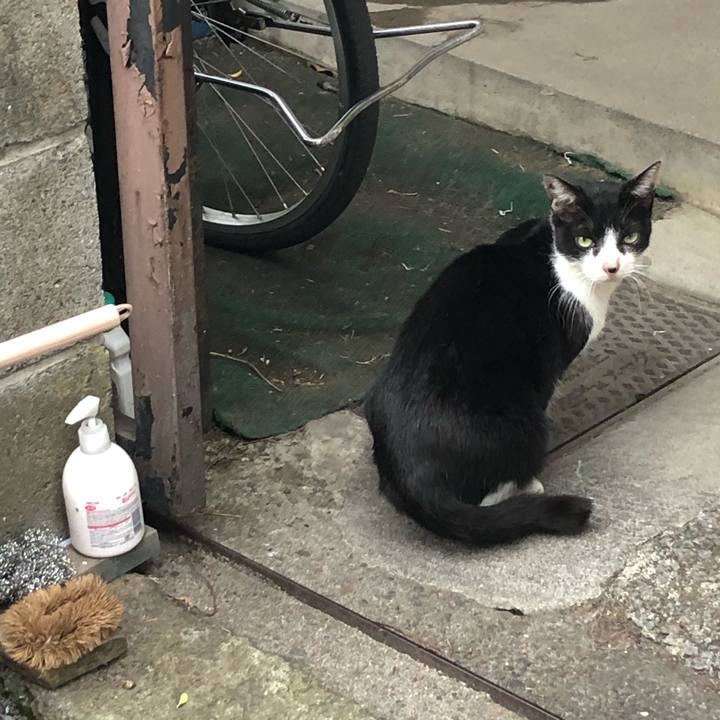 34447b25 53a2 4463 b642 8defefa1042d 1606146260702