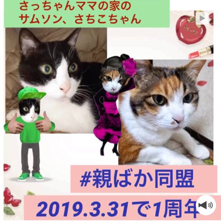 3444ad07 d584 4700 beec 5fdb476bcad4 1553804610911