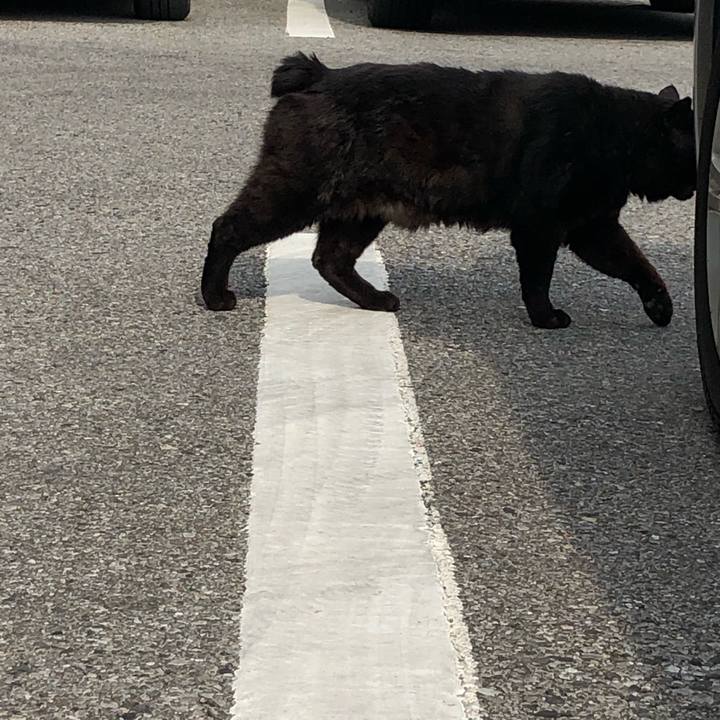 3445110e 9879 44c3 b4bd 8420e3aaf582 1555681451963