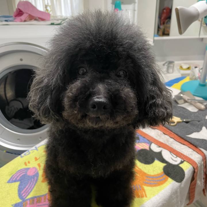 344523f1 ea34 4fbe 9008 4f20df085c41 1638067840219