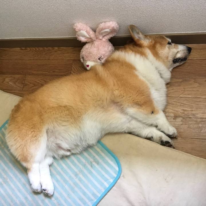 3445256d 7c01 46a5 b547 2e0985997502 1533094361105