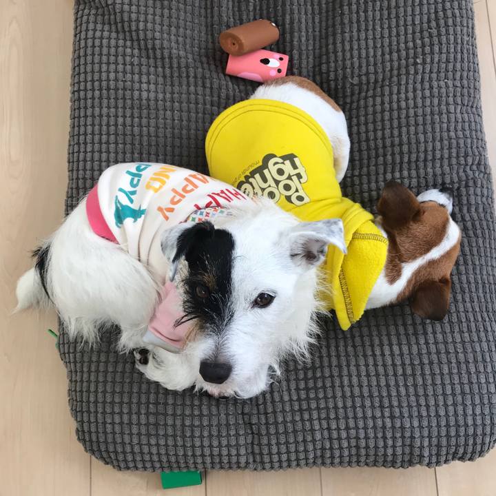 34457ba8 2b83 4435 af0c 4bd5e306a6a0 1543878061611