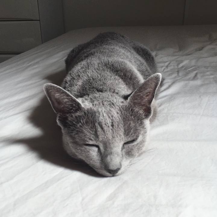 3445b587 d78c 4887 9a5a e3b6ae18ff15 1513423337905