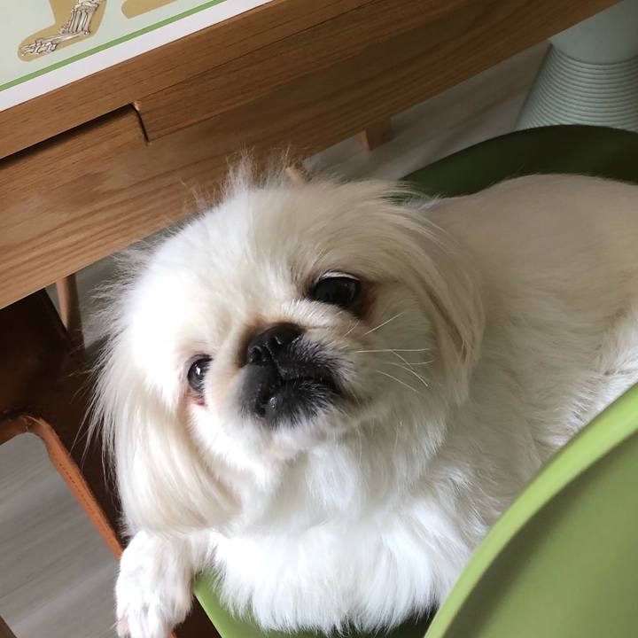 34461866 993e 4479 b792 9727b3994a9c 1529884877712