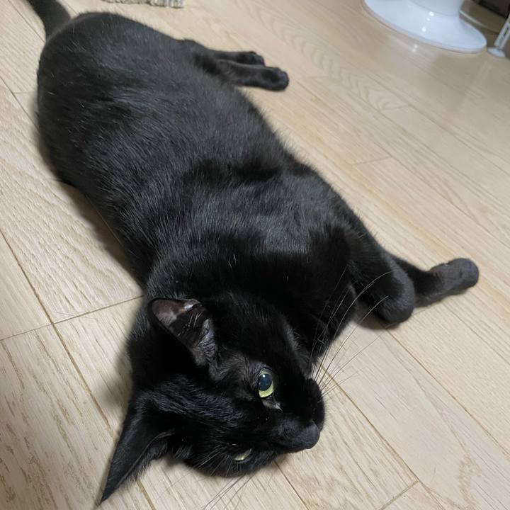 344621b0 4762 4964 9dd7 76b29592de73 1760014743224