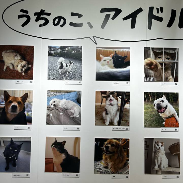 34466d8a 0c63 4181 8b97 2b93143bf734 1762060365742