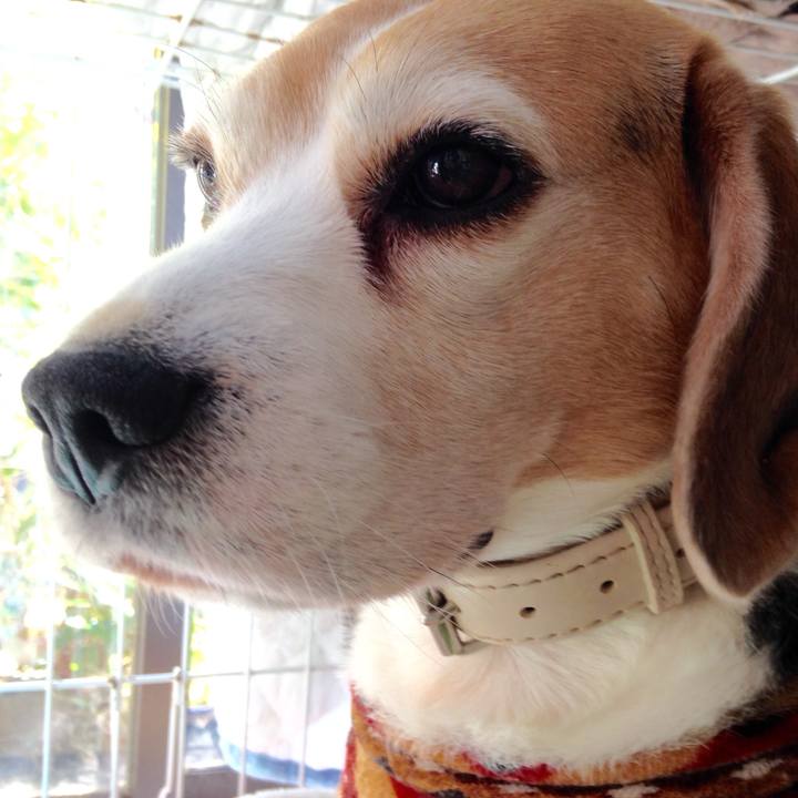 3446828c 2c19 482b 86ed 7297db327675 1739743787366