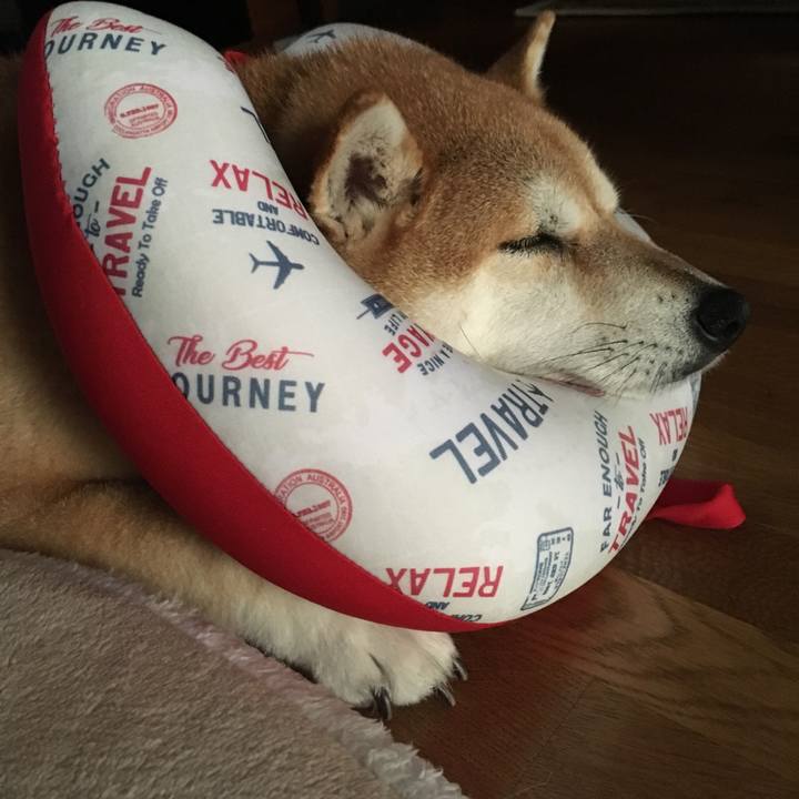 3446834b ac4e 41a9 9525 3e1bda658ba1 1566262604243