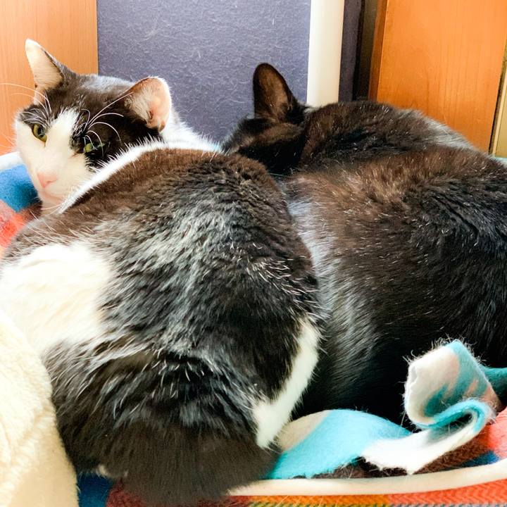 3446a65c 29e8 41ec a231 c222a48f76c4 1584323433427