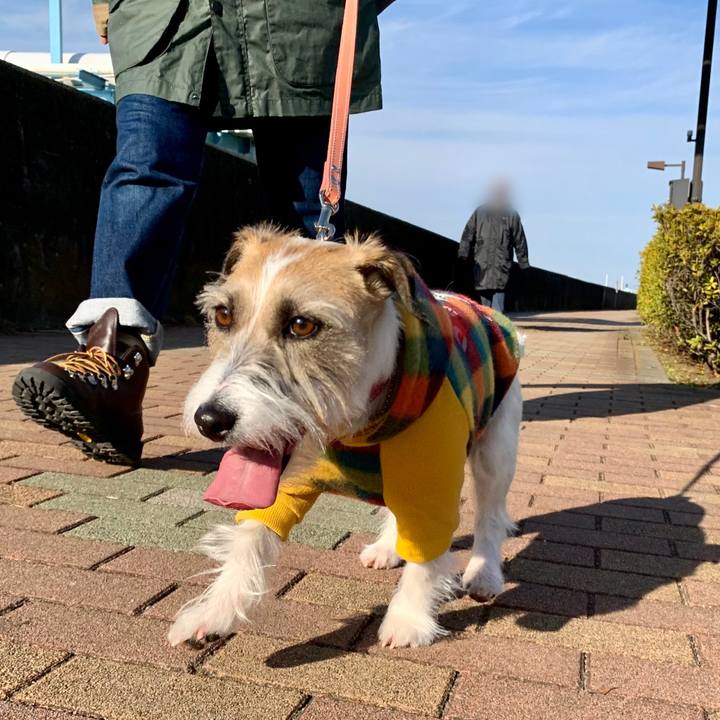 3446d68f dd60 48dd 8ee3 ee36b4c94720 1644659769668