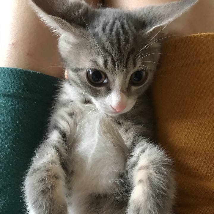 3446d842 47d4 408c bd2e 85c0dc392fb8 1564186011808