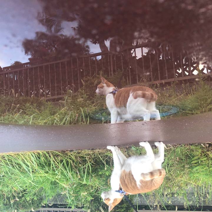 344700b6 6ee2 4437 a6cd c3afa8a516ff 1540366043765