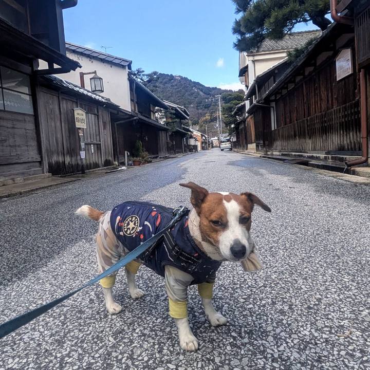 3447254d 5ea1 4a46 876b aaf2260fb01a 1766842175344