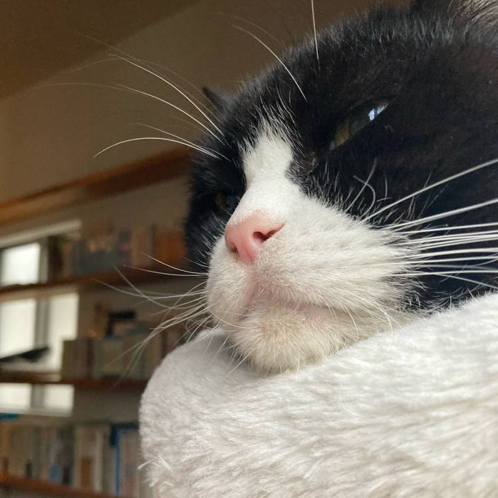 344741ae 4d4d 4bbf 97d8 6f7da5d08c8c 1634853630538