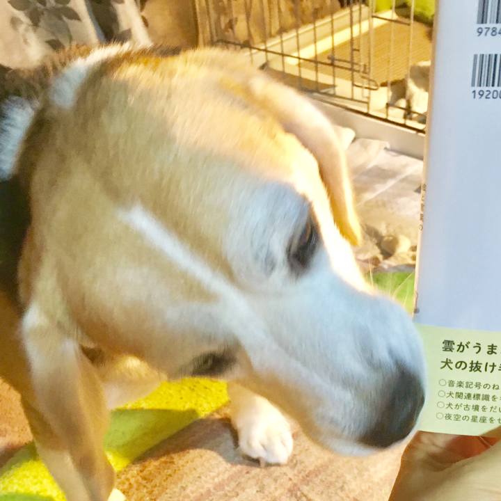 344742df afb9 4479 946a 90d21255a8a7 1537105974246