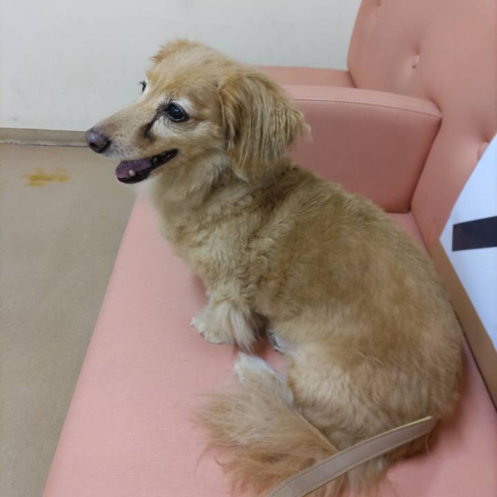 34476d76 6f14 46ad 89b6 13b0f581aa8f 1662030983921