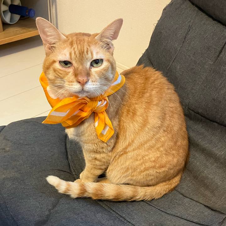 3447788f c2eb 43d9 8a04 cbbe1e62ecb3 1763332897078