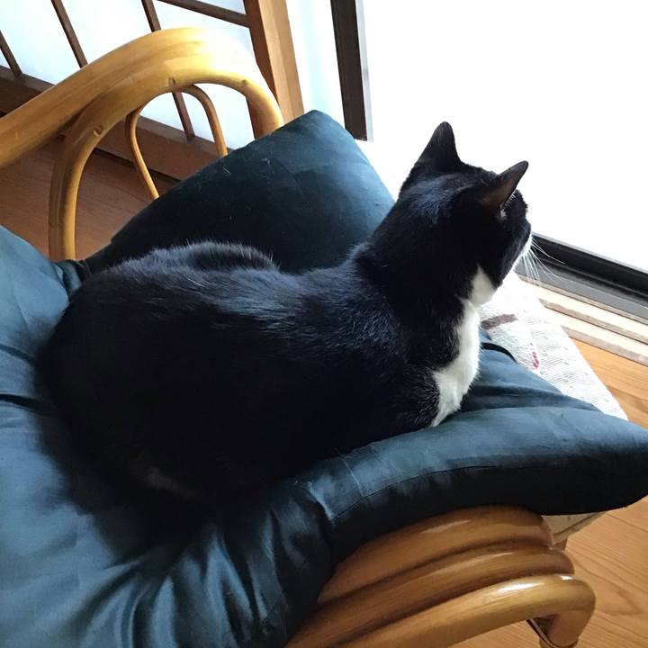 3447891c 99e8 49c4 95ab b877d5bcbc57 1720329816143