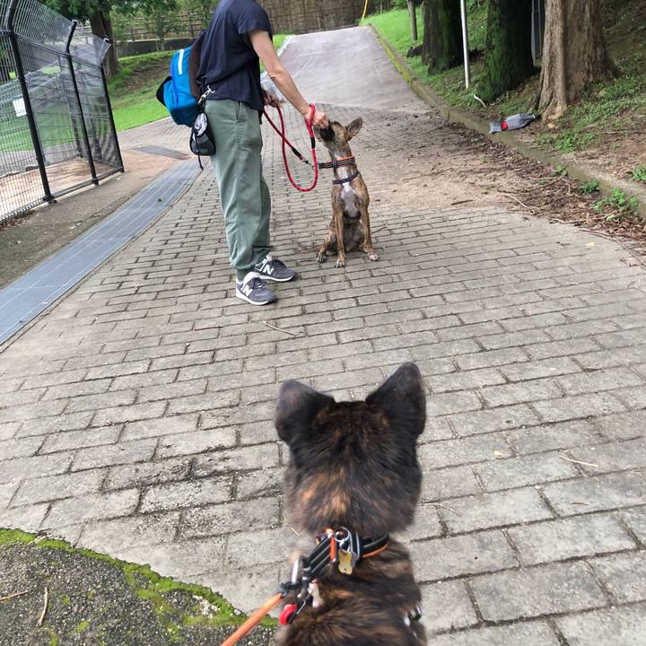 3447d4b5 055a 4566 b22c b27619f19f2f 1595761109462