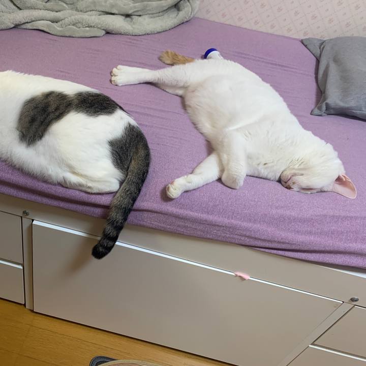 3447ec3c 9f90 4aa1 a382 b35dc53bdec7 1665491522016