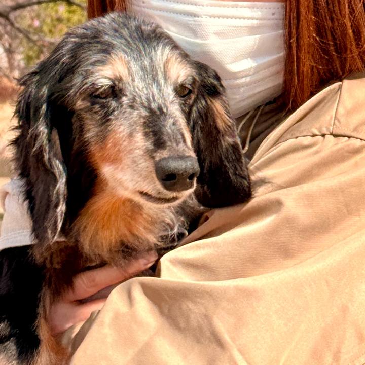 3448003c ed4a 4b67 b3af 6daf297ee20b 1772405241038