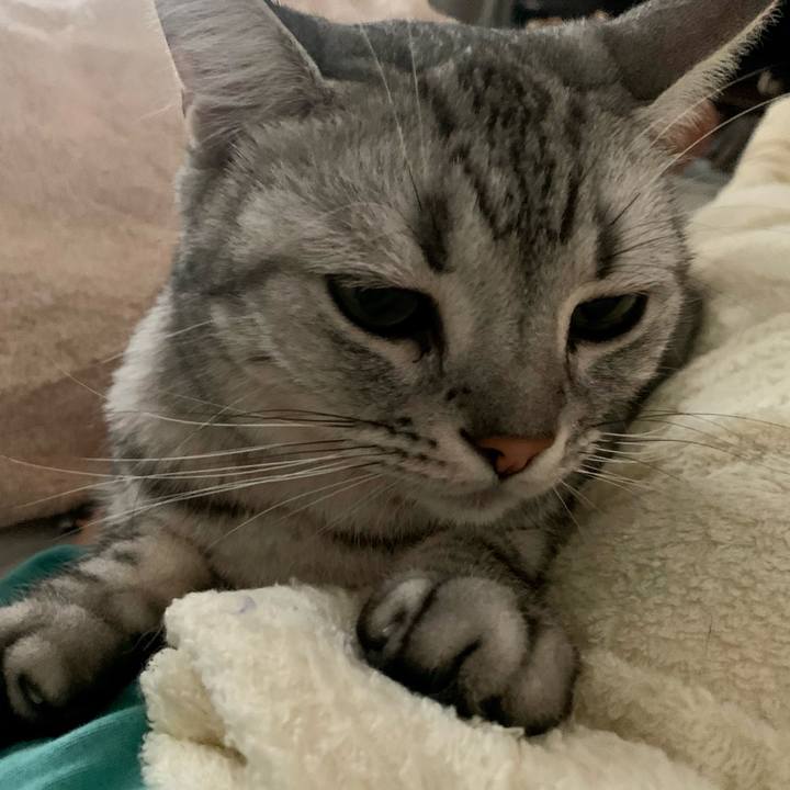 34485958 d9a8 4456 b235 d750c57790e4 1632013644714