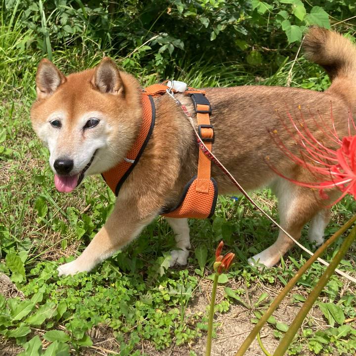 3448633e e405 4ff4 a272 db90dc0aa757 1663387259961