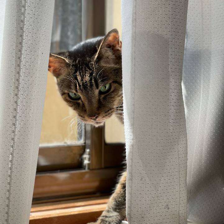 34487eb4 6570 41f2 ad78 1a946d67d41b 1630283630089