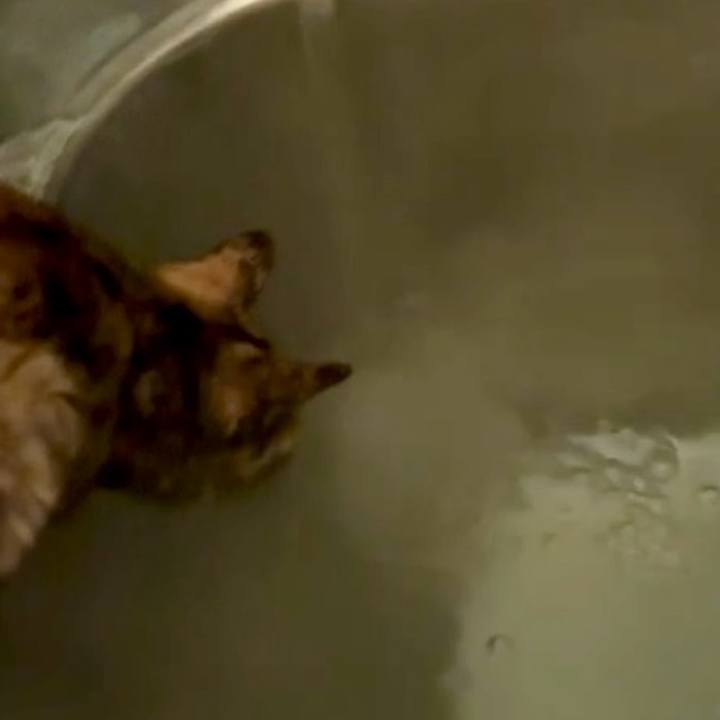 34488f9c d8da 49f4 92cb 8c898f83a3e1 1744663914553