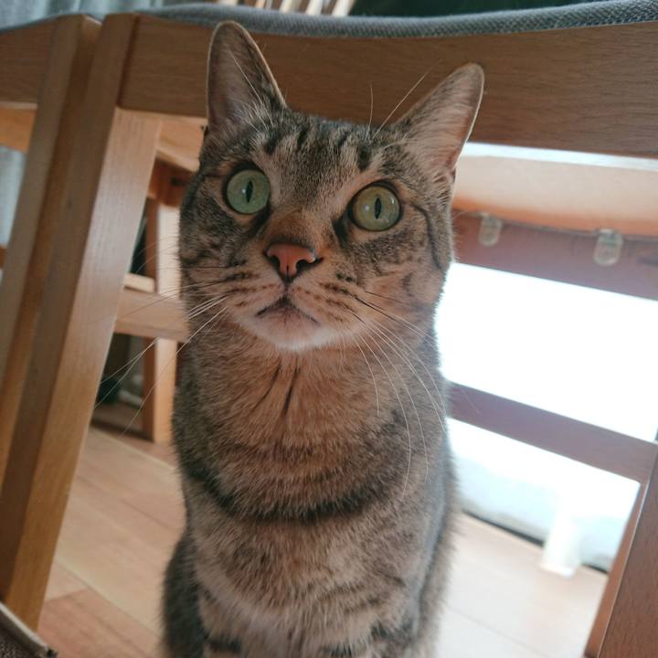 3448a600 ed33 48ae 865e 376af8454293 1589671408961