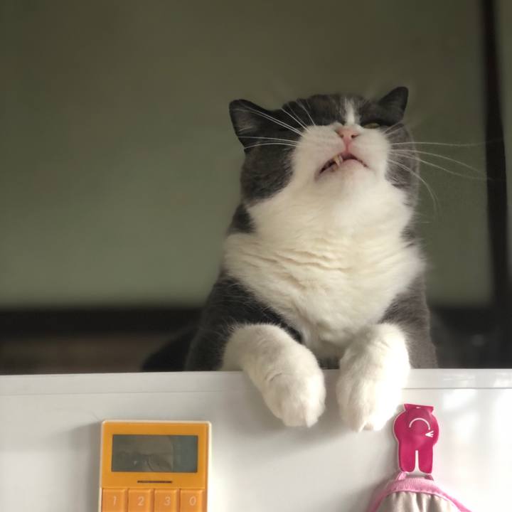 3448a970 94ca 4c7f 91d6 35744006795d 1595892527370