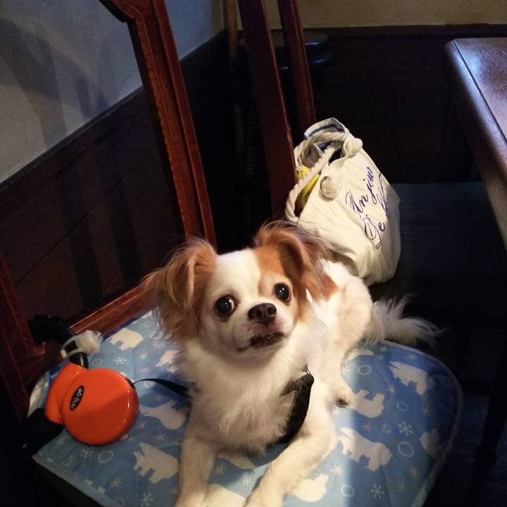 3448b2de 5b55 4f31 8810 6a19186515db 1531470379903