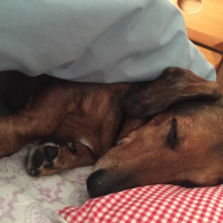 34492828 cc82 45a8 ac0c b40bf5a69c33 1522424824899