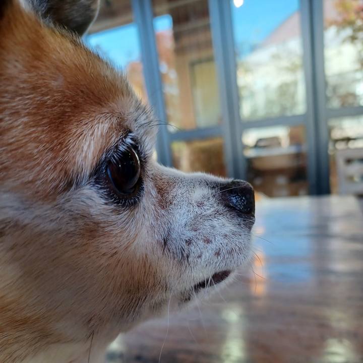 34494993 35e9 4aa3 bde2 70afda9f419c 1773184040862