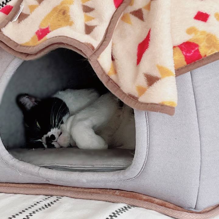 344962b8 3412 4f7c 8fb1 a6c0314bea71 1674362792870