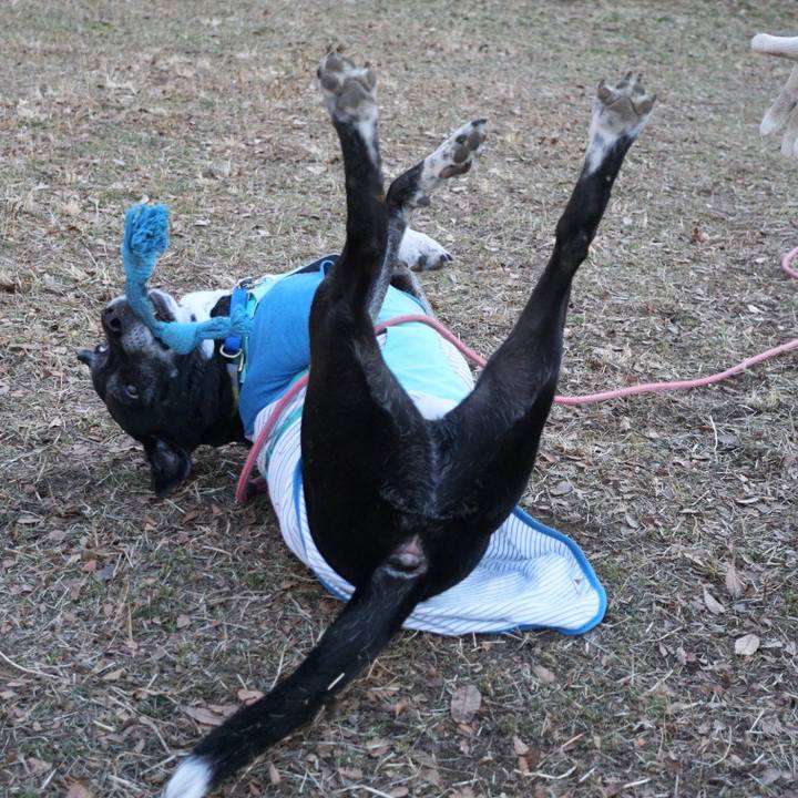 3449a6ec a209 44e8 8707 9587ea763d0e 1769651966298