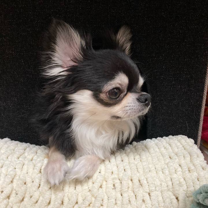 3449b056 993a 4a63 9b58 4e899d1de776 1676817400812