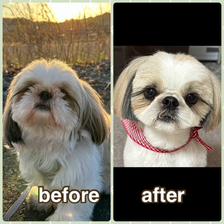 3449c37c 564b 4a9f 9f69 6c74254a732e 1709554408834