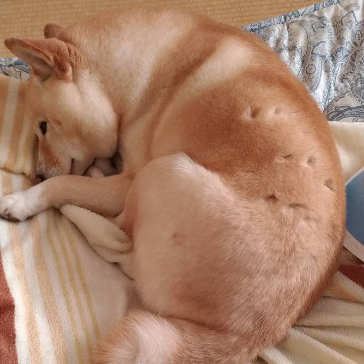 3449d1cf 9220 4f17 9919 fec7ebe2b436 1612484500690