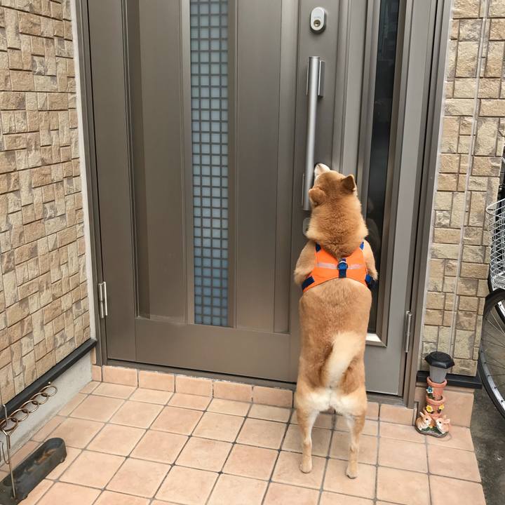 3449d3de dead 4f44 a160 b3e4c3d22f55 1518995801419