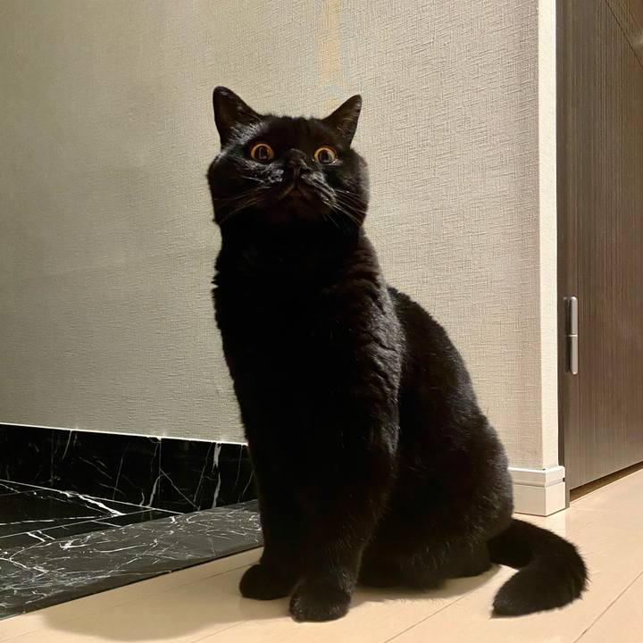 344a2970 3790 4f61 8299 2397350e0705 1684845605872