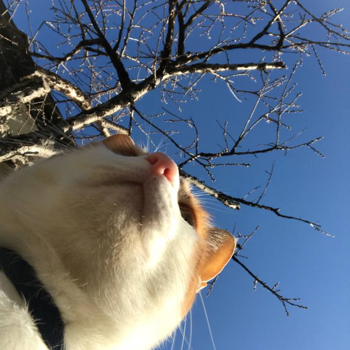 344a3952 f386 4953 a61c 077d6f8f7b6f 1522363614391