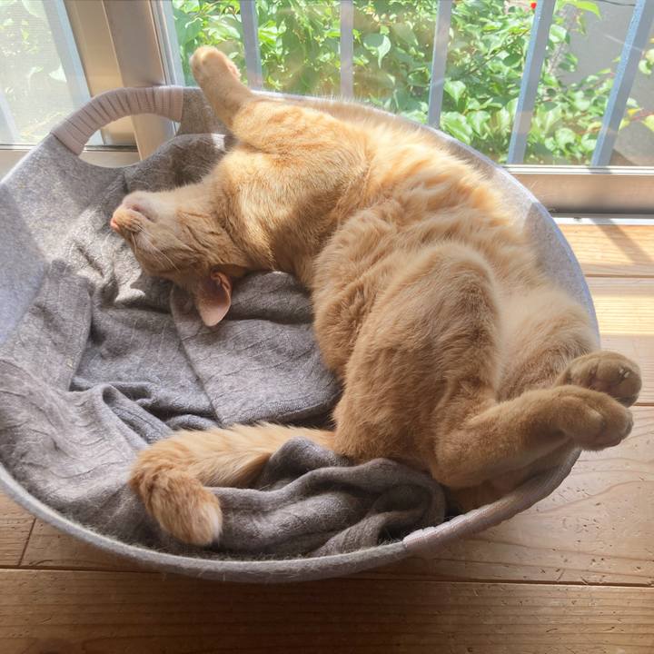 344a51f7 3ce5 48a1 b705 18c9448f9bc4 1652192171821